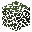 Birch Leaves