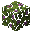 Flowering Azalea Leaves