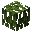 Mangrove Leaves