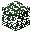 Spruce Leaves